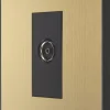 British General Evolve 1-Gang Coaxial TV / FM Socket Satin Brass With Black Inserts -British General Shop 405RF P